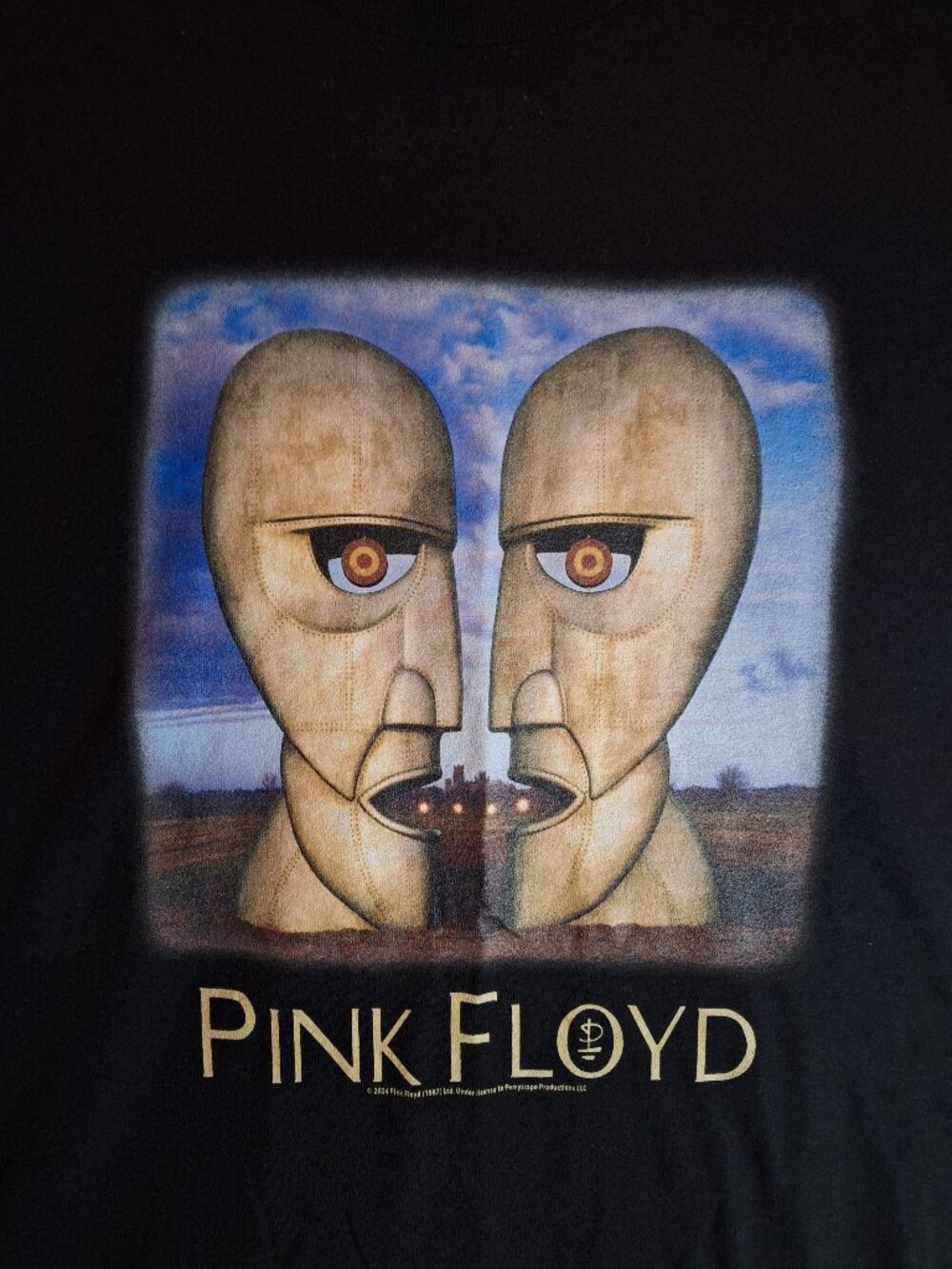 Pink Floyd 3XL T-Shirt 1994 The Division Bell Album Cover New without Tags Black